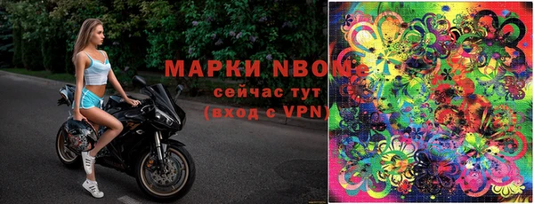 молекула духа Аркадак
