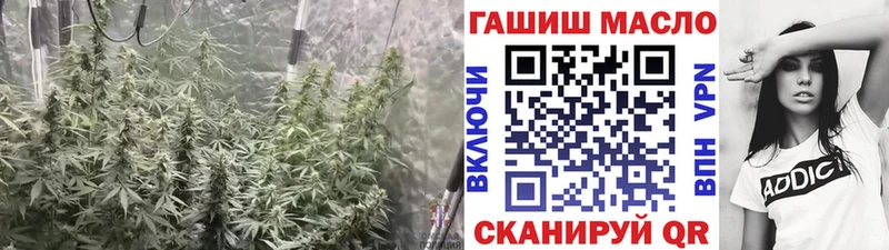 купить наркотик  Верхнеуральск  МЕГА tor  shop официальный сайт  Дистиллят ТГК гашишное масло 
