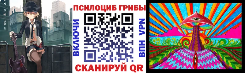 что такое   Верхнеуральск  Псилоцибиновые грибы GOLDEN TEACHER 